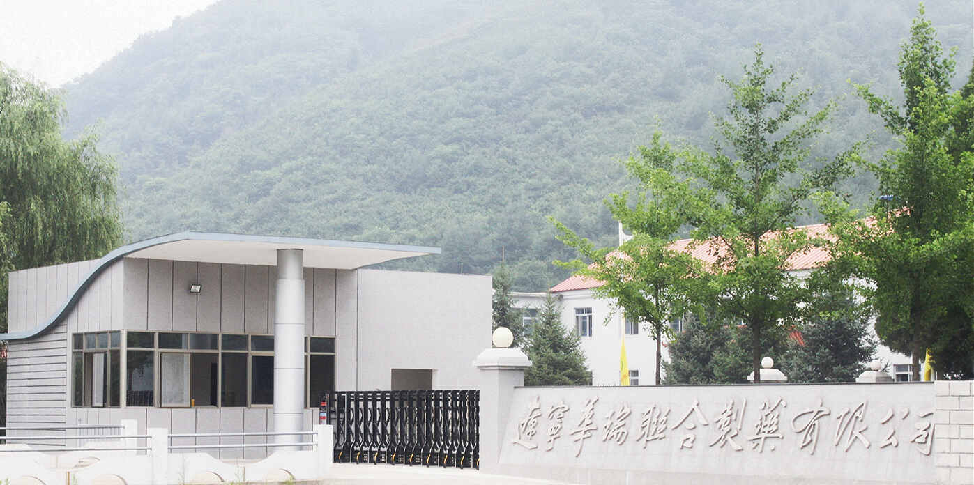 Huarui Union Pharmaceutical