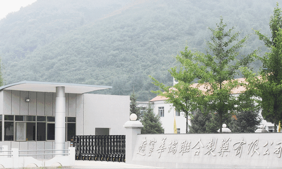 HuaRui Pharmaceutical